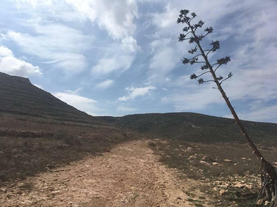 Cortijo Los Garridos - 8 Huespedes Fernan Perez Εξωτερικό φωτογραφία