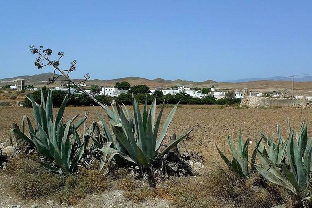 Cortijo Los Garridos - 8 Huespedes Fernan Perez Εξωτερικό φωτογραφία