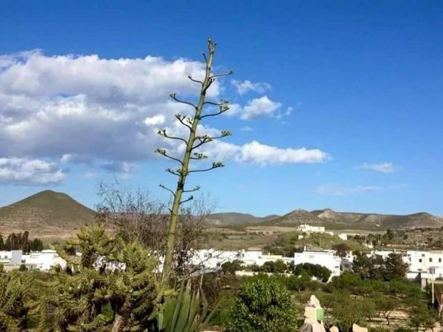 Cortijo Los Garridos - 8 Huespedes Fernan Perez Εξωτερικό φωτογραφία